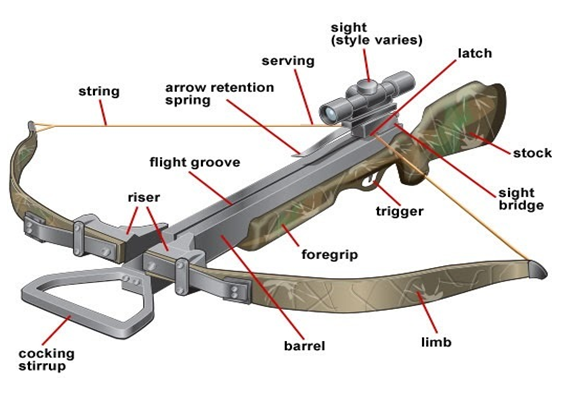 Complete Guide on How to Use Bowfishing Crossbow - Hunting Bow