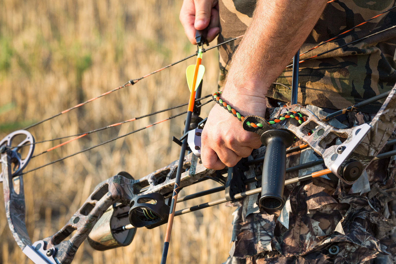 Hunting Bow Tips: Best Compound Bows for Beginners