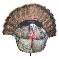 Fanatic 2D Montana Turkey Decoy