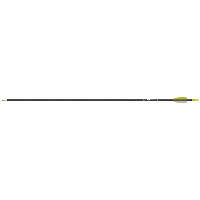 Gold Tip Fiberglass Arrows