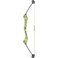 Bear Valiant Bow Set Flo Green RH