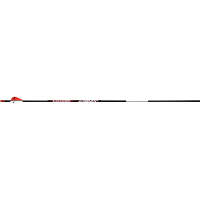 BloodSport Judgement Arrows 300 2 in. Vanes 6 pk.