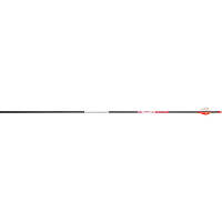 BloodSport Justice Arrows 300 2 in. Vanes 6 pk.