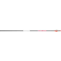 Bloodsport Prosecutor Arrows 400 2 in. Vanes 6 pk.