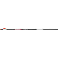 BloodSport Punisher Arrows 300 2 in. Vanes 6 pk.