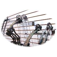 CW Erickson Slat Bow Display 2 Bow Bracket 5 pk.