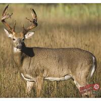 DuraMesh Archery Target Whitetail 4 25 in. x 32 in.