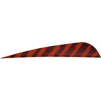 Gateway Barred Feathers Red 4 in. RW 50 pk.