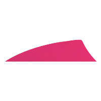 Gateway Rayzr Feathers Pink 2 in. RW 50 pk.