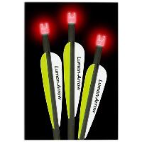 Lumenok Crossbow Bolts 20 in. HD Orange Capture 3 pk.