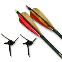 Magnus Bullhead Bow Kit 100 gr.