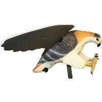 Mojo Hawk Decoy