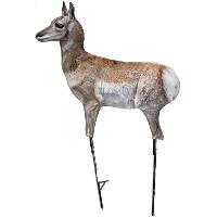 Montana Decoy Antelope Fawn