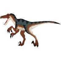 OnCore Archery Target Green Raptor Small