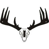 Raxx Mini Bow Hanger Whitetail Skull