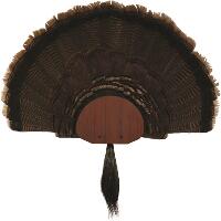 Walnut Hollow Metal Turkey Mounting Kit Red
