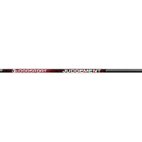 BloodSport Judgement Shafts 300 1 doz.