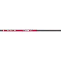 BloodSport Prosecutor Shafts 300 1 doz.