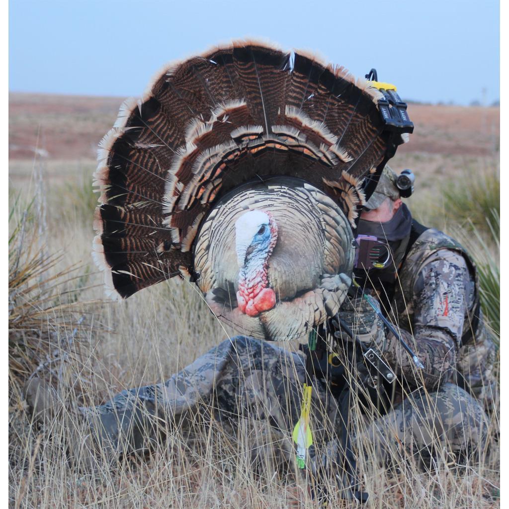 Heads Up Tom Turkey DecoyHeads Up Decoys turkey decoys Hunting Bow