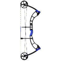AMS E-Rad Bowfishing Bow 30-60 lbs. RH