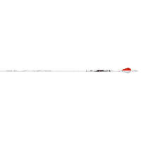 Beman ICS White Out Arrows 300 XPV Vanes 6 pk.