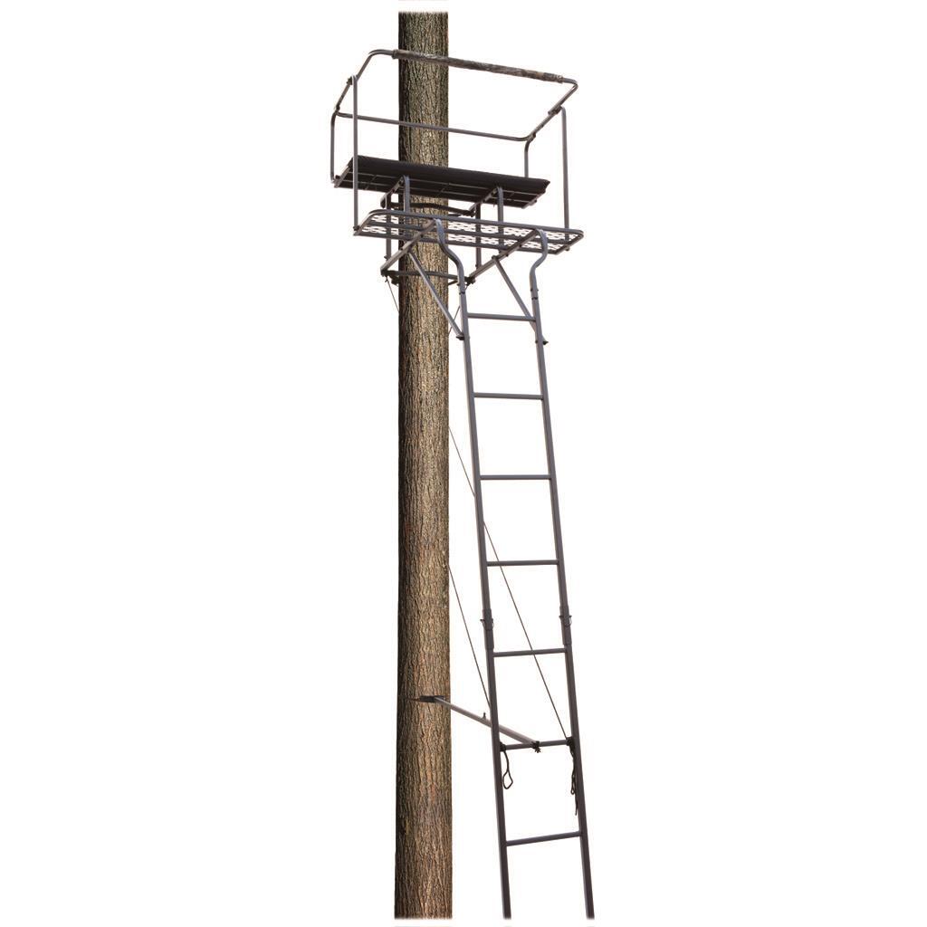 Big Dog Big Bud Ladder Stand Two Man 18 ft.Big Dog ladder stands