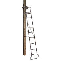 Big Dog Dash Hound Ladder Stand 16 ft.