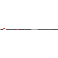 BloodSport Evidence Arrows 350 2 in. Vanes 6 pk.