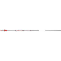 BloodSport Judgement Arrows 400 2 in. Vanes 6 pk.