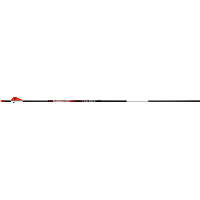 BloodSport Punisher Arrows 400 2 in. Vanes 6 pk.