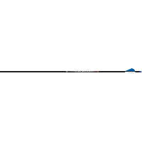 Easton Carbon Injexion Arrows 480 Blazer Vanes 6 pk.