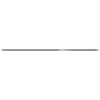 Gold Tip Pierce Platinum Arrows 300 2 in. Fusion X Vanes 6 pk.