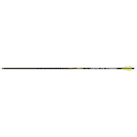 Gold Tip Valkyrie Arrows 340 4 Fletch 6 pk.