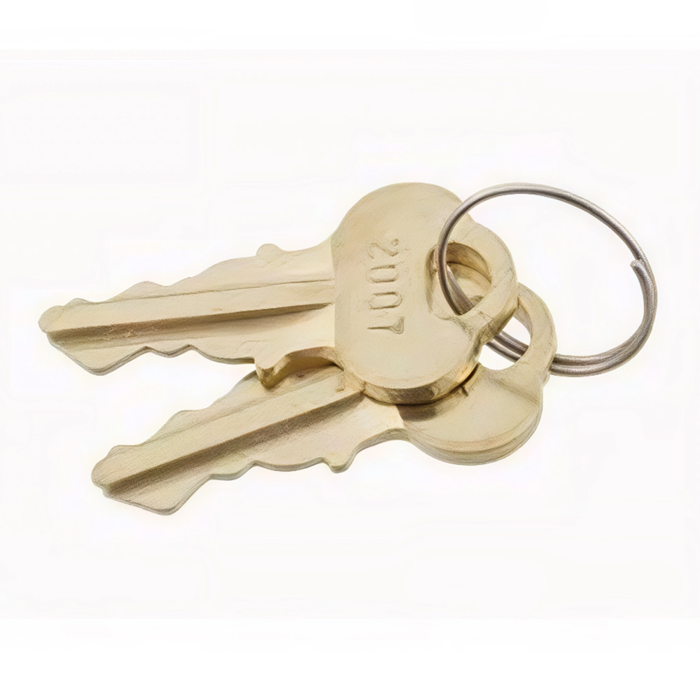 302092-000 Ignition 2 Key for Raymond 102XM Pallet Trucks - Lift