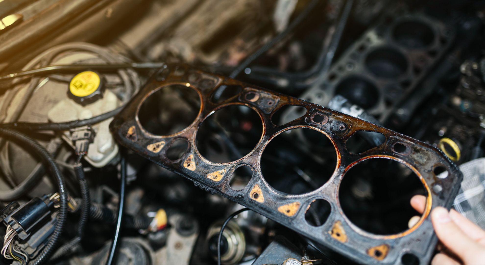 11044-L1100 Head Gasket For Nissan - Lift Parts Warehouse