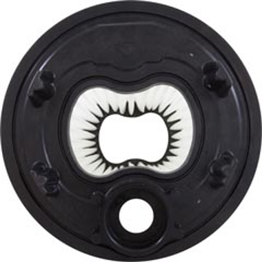 anthony apollo pool filter