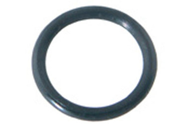 E-Z CLOR | O-RING, FLOW METER TOP | 824092