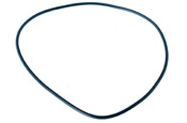 PENTAIR  | O-RING, FILTER HEAD | 397028