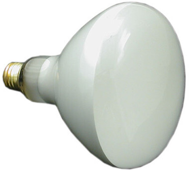 JANDY | LAMP, 300W, 120V, POOL | R0450502