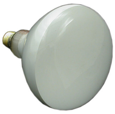 JANDY | LAMP, 500W, 120V, POOL | R0450504