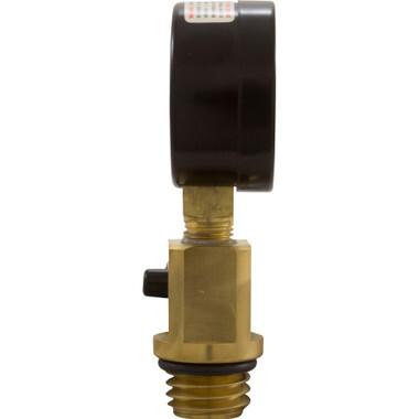 WATERWAY  | heavy duty pressure gauge/air relief  Assembly for pentair filters | V20-225