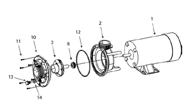 WATERWAY | 3/4 HP IMPELLER | 310-8010