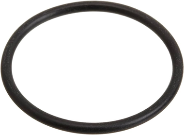 Pentair U9-265 O-Ring
