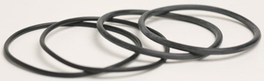 RAYPAK | O RING (SET OF 2) | 006724F