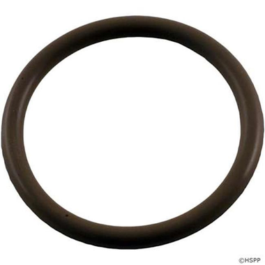 Waterway Plastics O-Ring Retainer