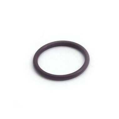 Waterway Plastics 805-0219V O-Ring Retainer
