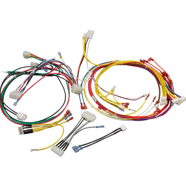 461107 | Pentair | Wire Harness, Pentair MasterTemp 125, 120/240v