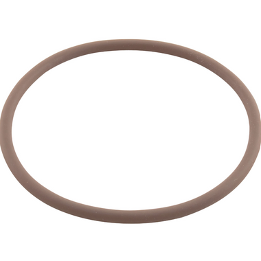 R0586300 | Zodiac | O-Ring, Viton, Zodiac Nature2 Fusion, Large Collar