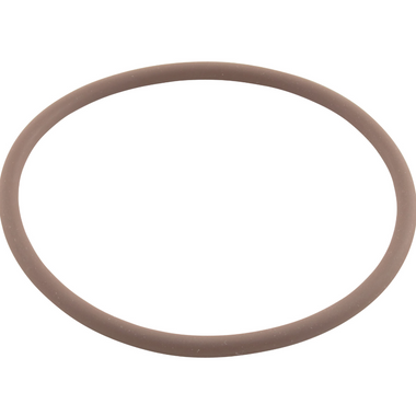 R0586300 | Zodiac | O-Ring, Viton, Zodiac Nature2 Fusion, Large Collar