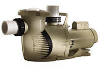 PENTAIR | WHISPERFLOXF PUMP 3HP EE FR XFE-12 | 022010 (022010)